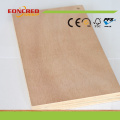 Best Price 12mm Bintangor Plywood with Good Quality